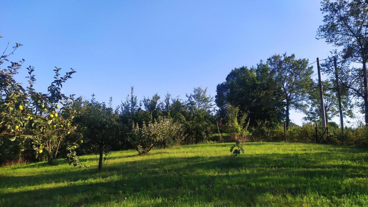Farm stay Naturin - Cascina Colombaro *