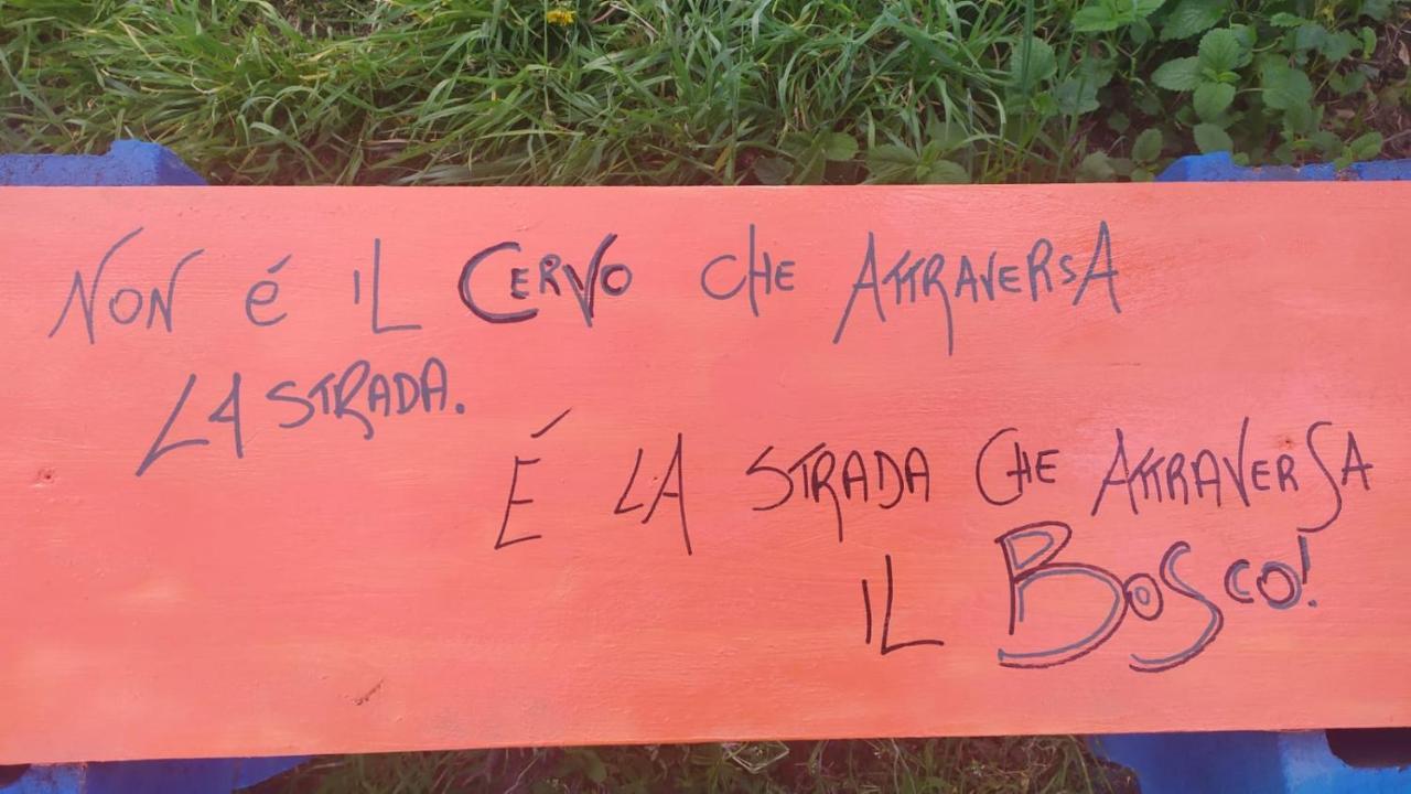 Naturin - Cascina Colombaro *