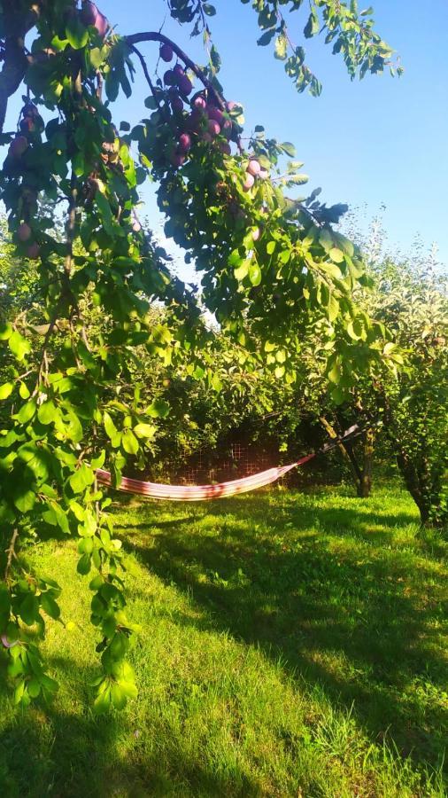 Naturin - Cascina Colombaro Farm stay *