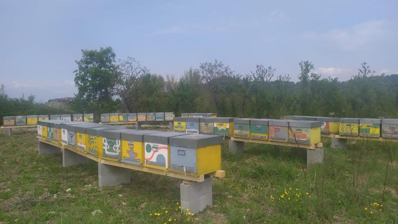 Farm stay Naturin - Cascina Colombaro Lauriano