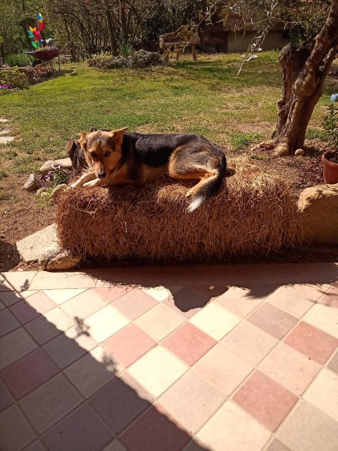 Farm stay Naturin - Cascina Colombaro Lauriano