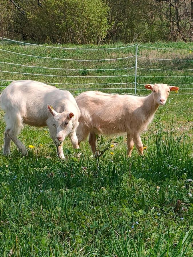 Naturin - Cascina Colombaro Farm stay *