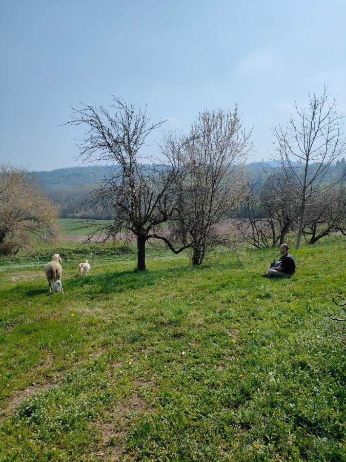 Naturin - Cascina Colombaro Lauriano